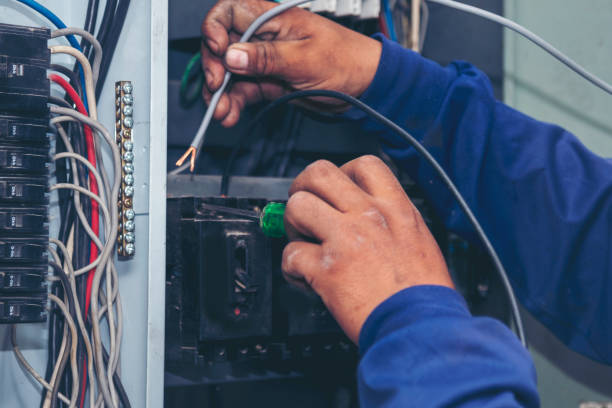 Best Local Electrician Companies  in Brownsville, KY